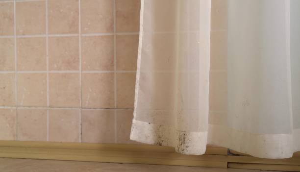 Best Mold Prevention Services  in Nutter Fort, WV
