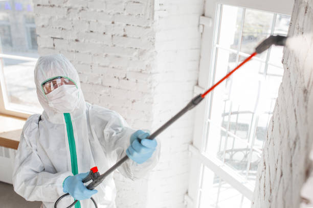 Best Mold Documentation for Insurance Claims  in Nutter Fort, WV