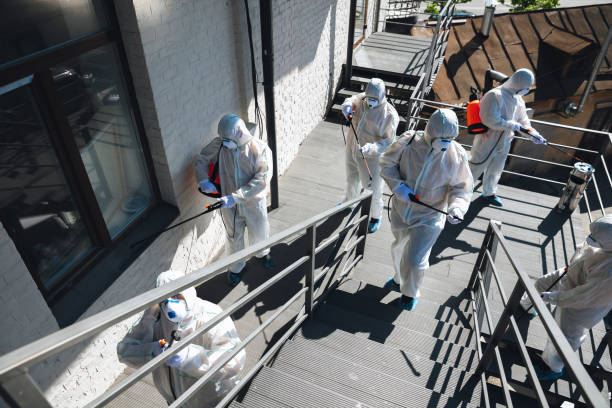 Best Asbestos and Lead Testing During Mold Inspection  in Nutter Fort, WV