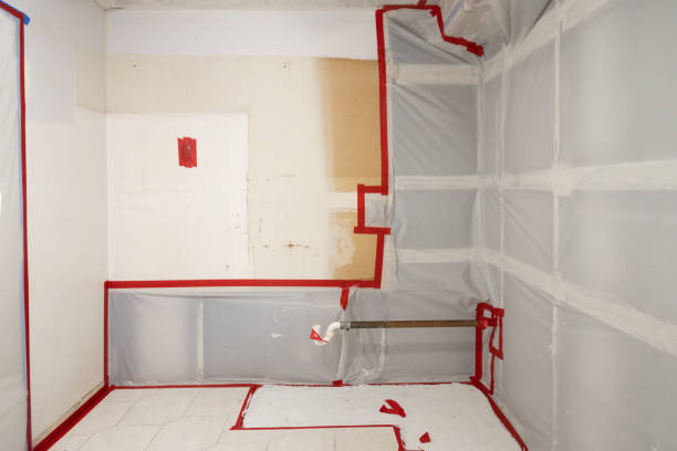 Best Mold-Related Health Consultation  in Nutter Fort, WV